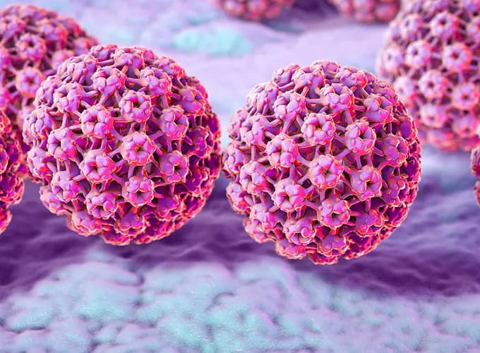 hpv_mediated_cancers.webp